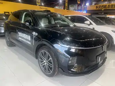 Voyah Auto Zhiyin 2026