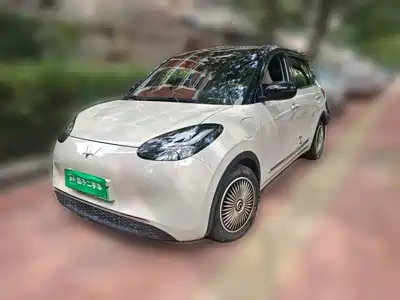 Wuling Motors Bingo 2024
