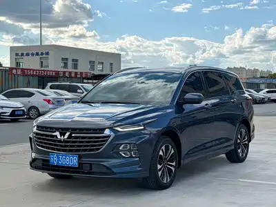 Wuling Motors Victory 2022