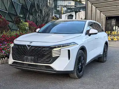Venucia Big V 2023