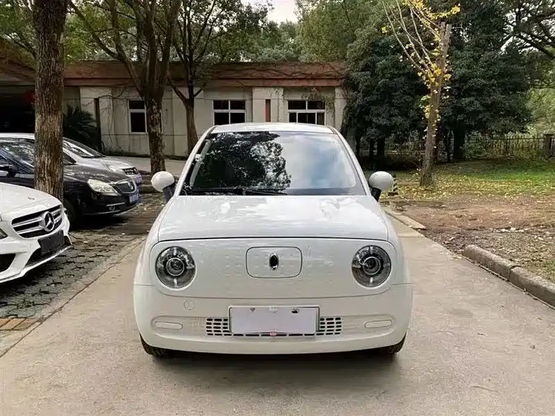 Ora Black Cat 2022