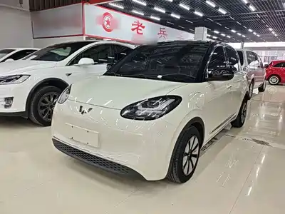 Wuling Motors Bingo 2024