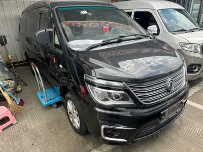 Dongfeng Fengxing Lingzhi 2018