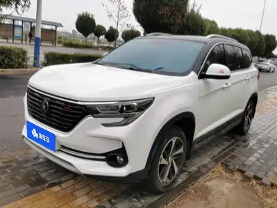 Dongfeng Fengxing T5 2021