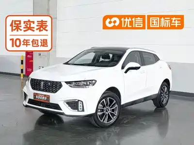 WEY VV5 2021