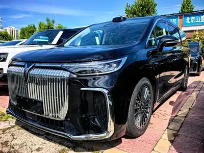 Voyah Auto Dreamer 2025