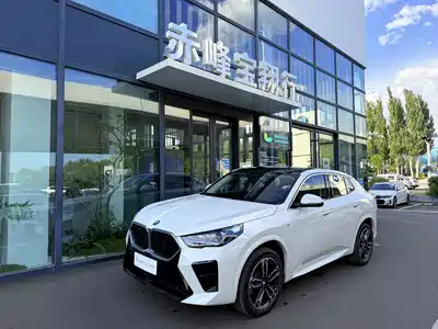 BMW X2 (Import) 2025