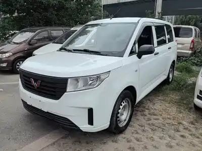 Wuling Motors Hongguang PLUS 2024