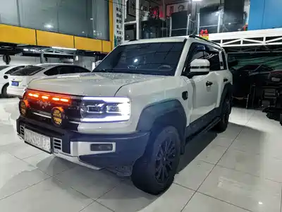 Fang Cheng Bao Leopard 5 2024