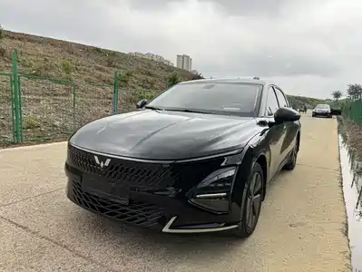 Wuling Motors Starlight 2024