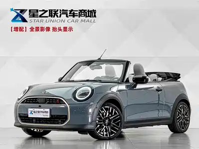 MINI MINI 2025