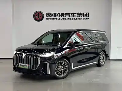 Voyah Auto Dreamer 2024