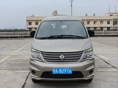 Dongfeng Fengxing Lingzhi 2020