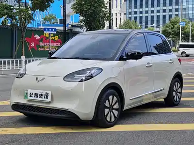 Wuling Motors Bingo 2023