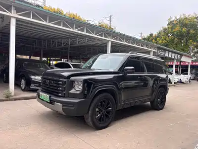 Haval Meng Long NEV 2025