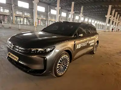 Voyah Auto FREE 2025