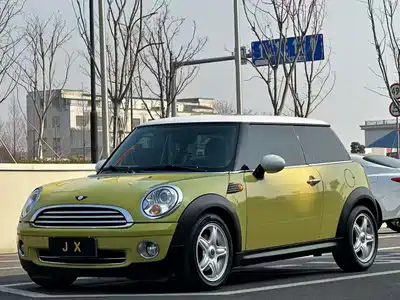 MINI MINI 2010