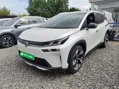 GAC Aion AION V 2020