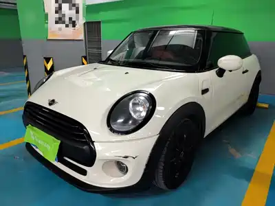 MINI MINI 2019