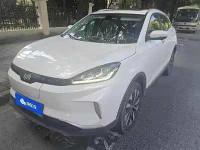 Weltmeister EX5 2019