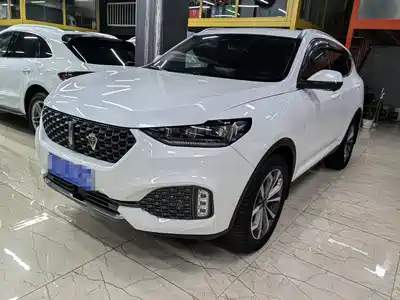 WEY VV6 2020