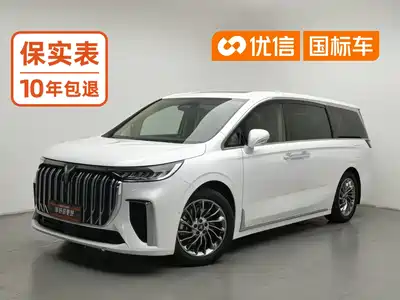 Voyah Auto Dreamer 2024