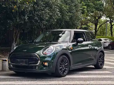 MINI MINI 2017