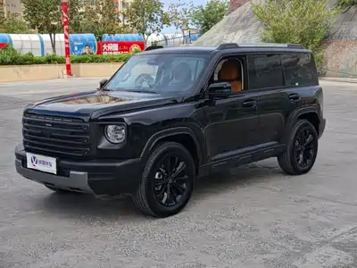 Haval Meng Long NEV 2025