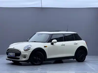 MINI MINI 2015
