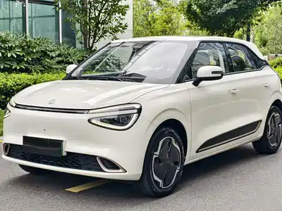 Dongfeng Yipai Nano 01 2024