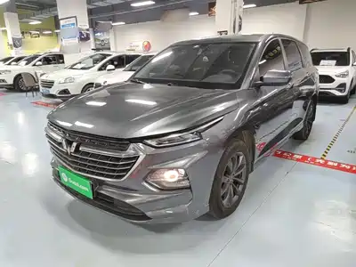 Wuling Motors Victory 2021