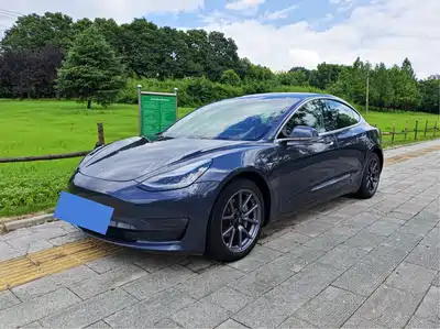 Tesla Model 3 (Import) 2019