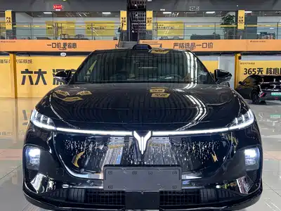 Voyah Auto Zhiyin 2025