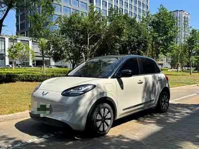 Wuling Motors Bingo 2024