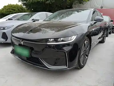 Voyah Auto Zhuiguang 2024