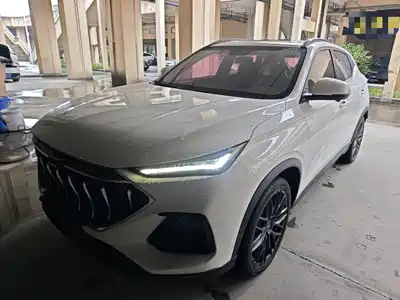 Changan Oshan Oushang X5 2022