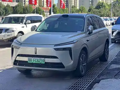 WEY Lanshan 2024