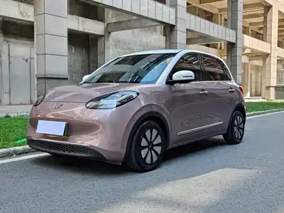 Wuling Motors Bingo 2023