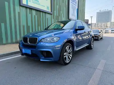 BMW X6 M 2010