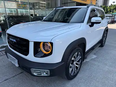 Haval Big Dog 2020