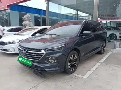 Wuling Motors Victory 2021