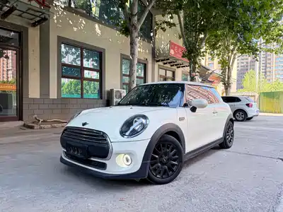 MINI MINI 2020