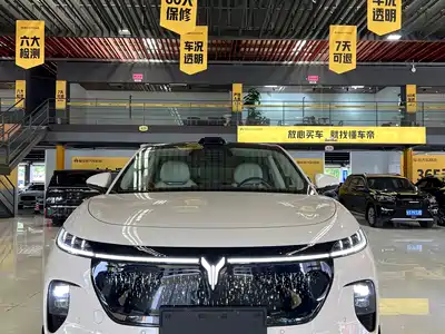 Voyah Auto Zhiyin 2025