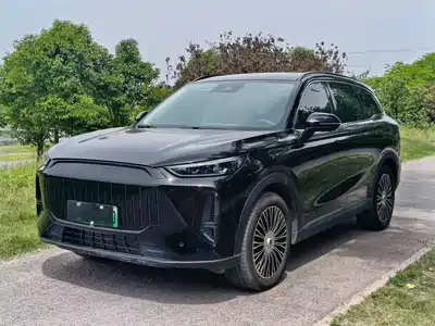 Chery Fengyun T9 2024