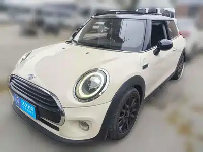 MINI MINI 2019