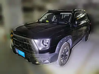Haval Big Dog 2024