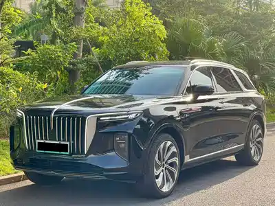 Hongqi E-HS9 2021