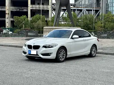 BMW 2 Series (Import) 2016
