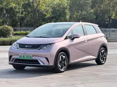 BYD Dolphin 2022