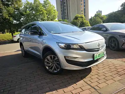 Ruilan Auto Maple 80v PRO 2023